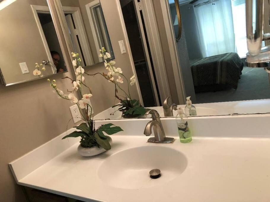 Nrg Apartment Houston Ngoại thất bức ảnh